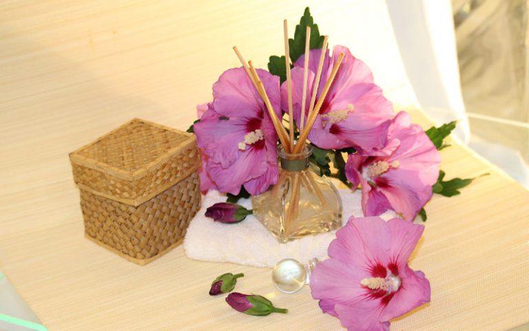 The Six Tastes in Ayurveda